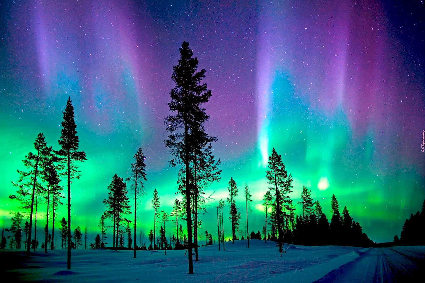 Aurora Borealis Северное сияние