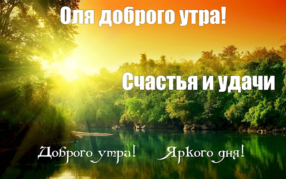 Летнее утро природа