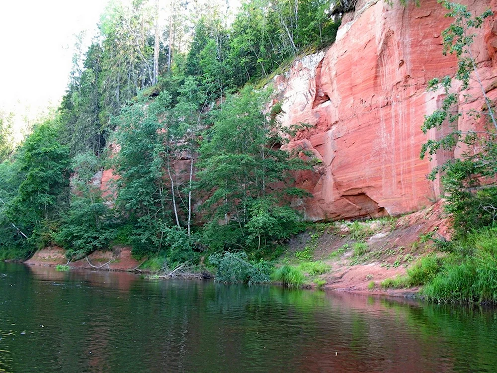 Плюсский край. Красные Слуды Плюсса. Слуды Плюсса Псковская область. Каньон реки Плюсса. Река Плюсса в Плюссе.