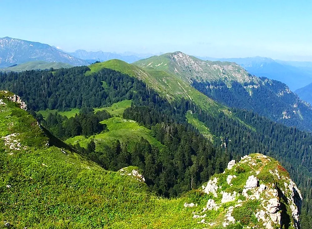 Гора Мамзышха пешая прогулка