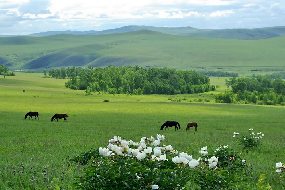 Забайкалье