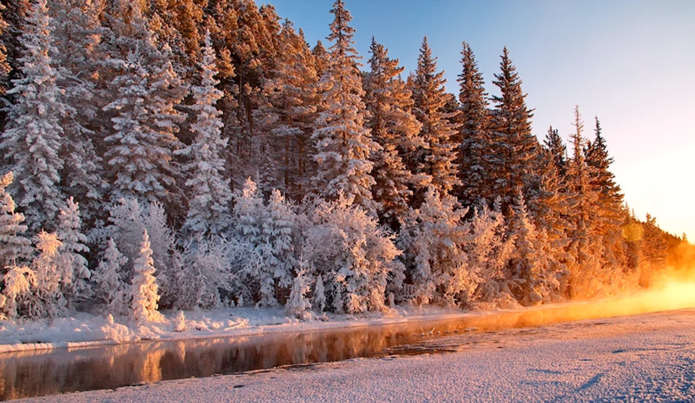 Сибирский лес Сибирская Тайга зима