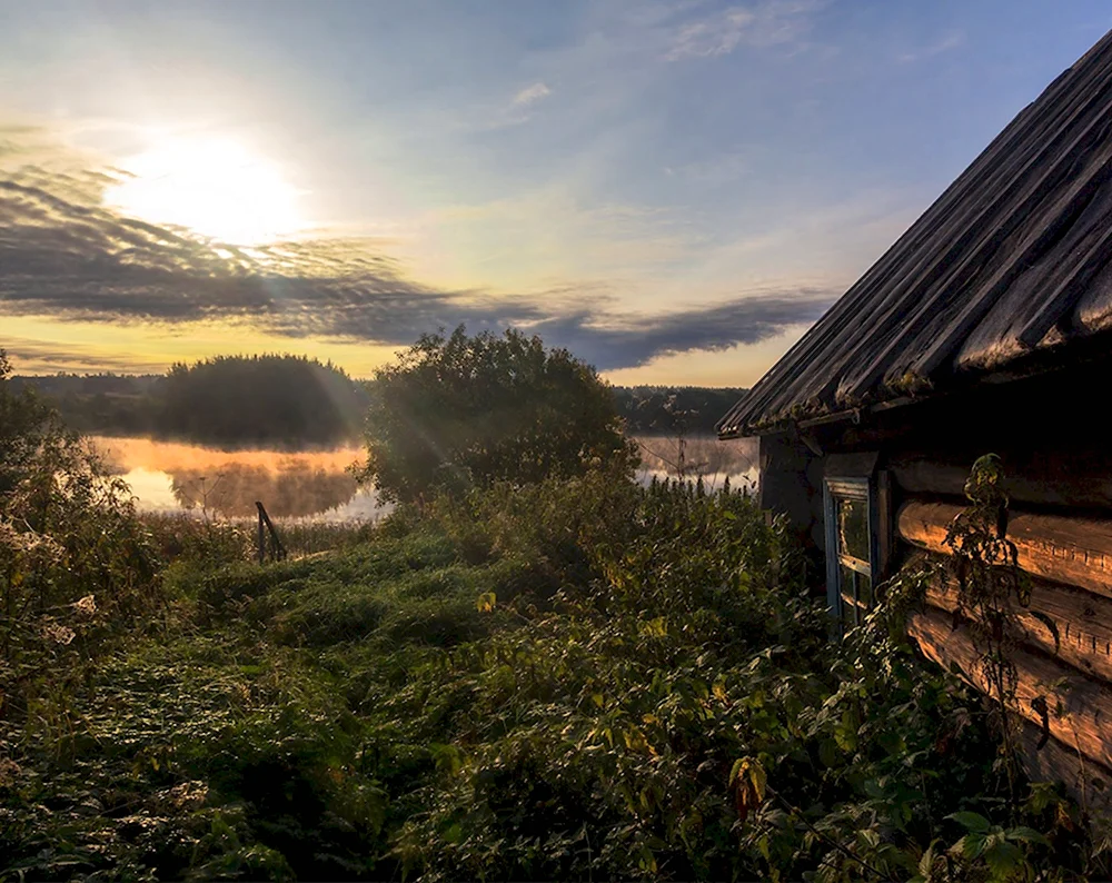 Ярославичи Вепсский лес (56 шт): картинки и фото