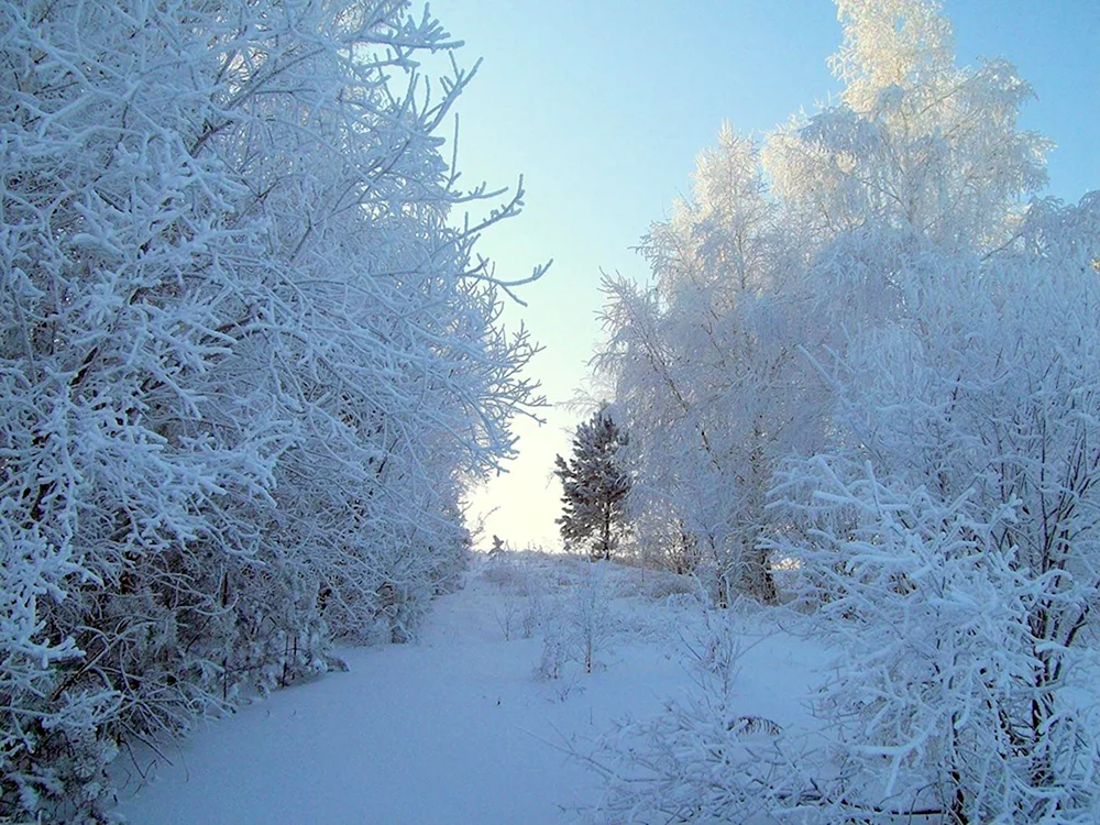 Зима Иркутская область