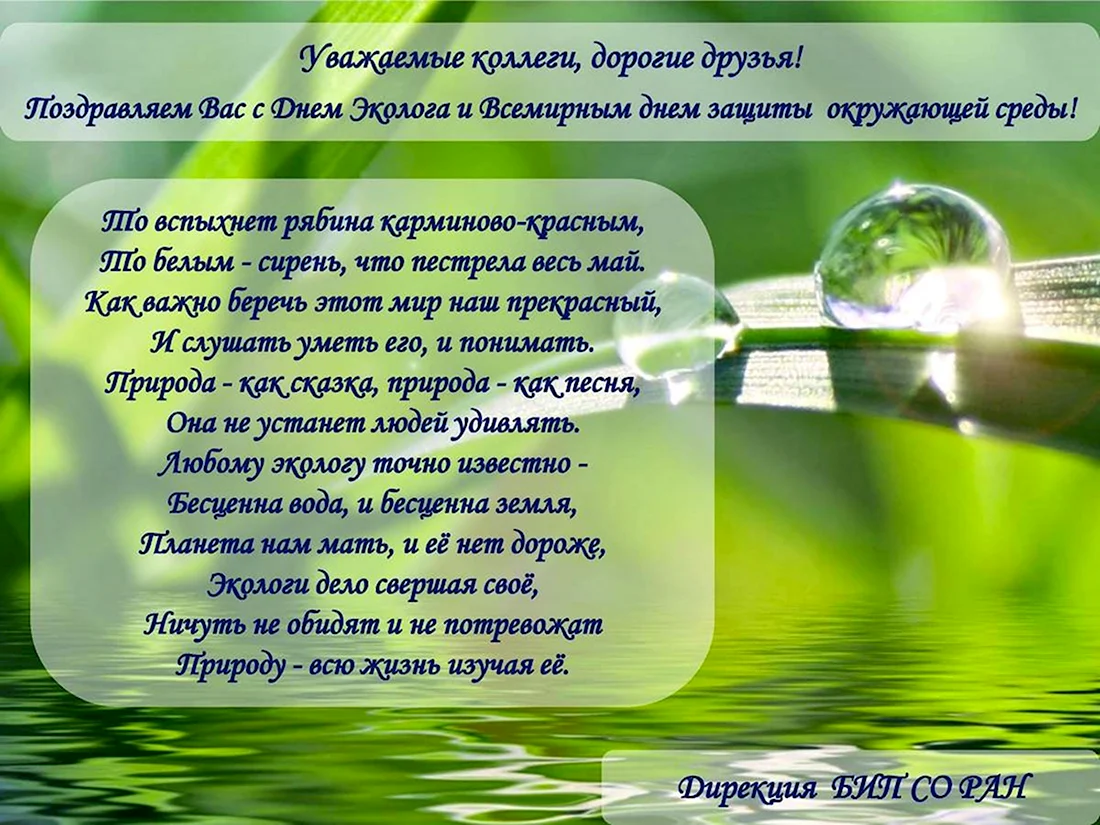 С днем эколога и охраны окружающей среды. Поздравление по экологии. День эколога. Поздравления с днём эколога открытки. Пожелания на экологическую тему.