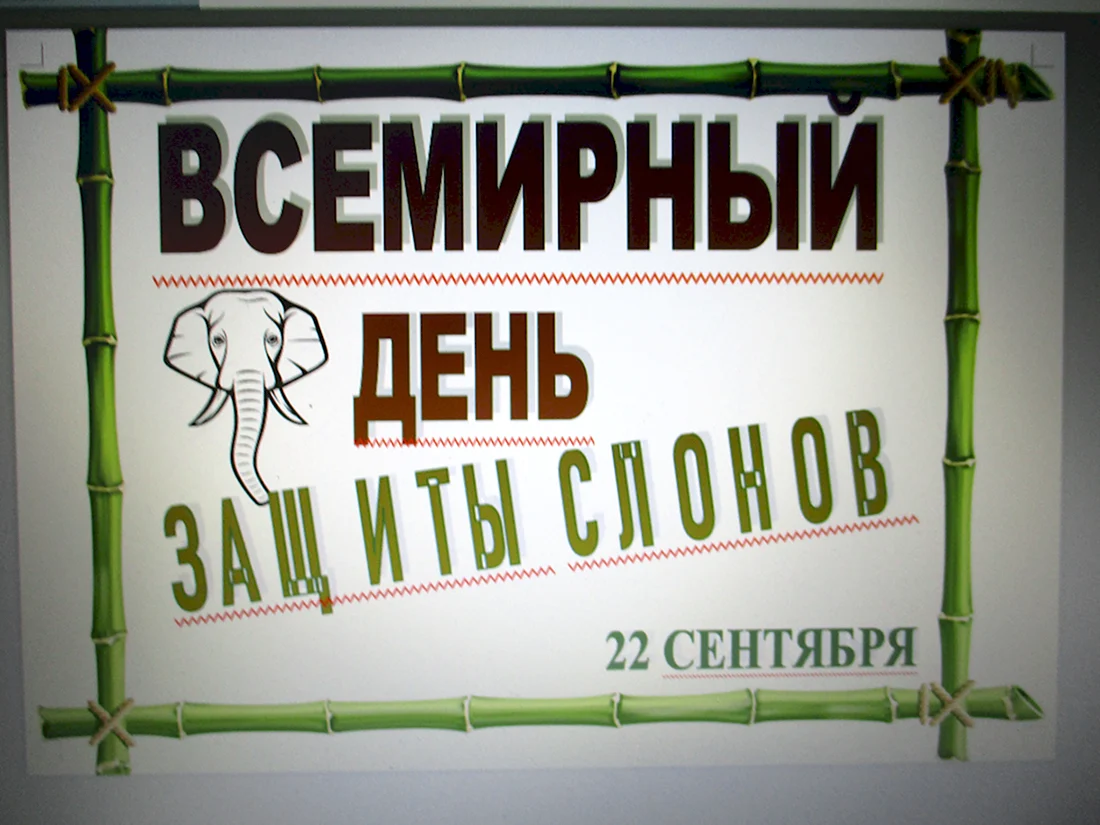 Открытка со слонами на день рождения, поздравительные открытки ручной работы со слоном