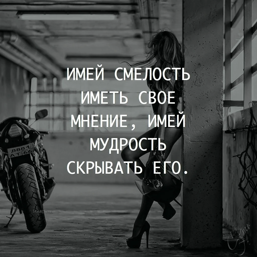 Лучше иметь свое мнение. Иметь свое мнение. Имей смелость иметь свое мнение имей мудрость скрывать его. Цитаты про смелость. Цитаты про свое мнение.