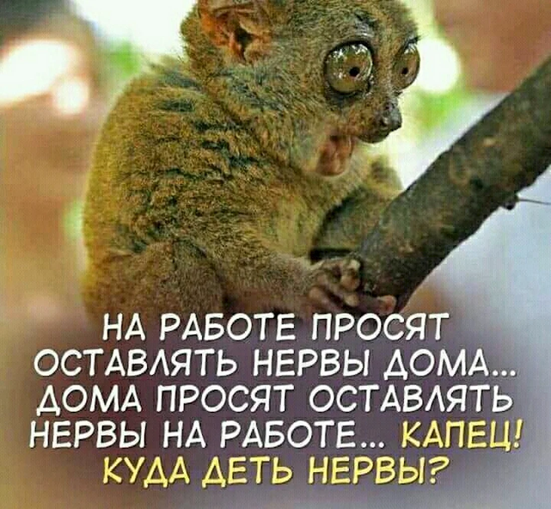 Картинка про злую и нервы