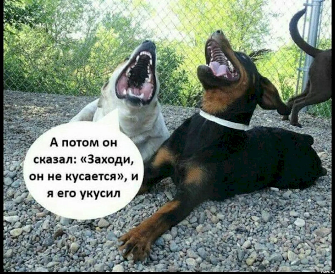 Открытка про не хорошую и не злую