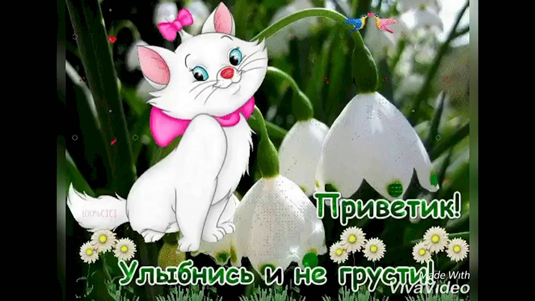 ʕ ᵔᴥᵔ ʔ Смайлики из символов