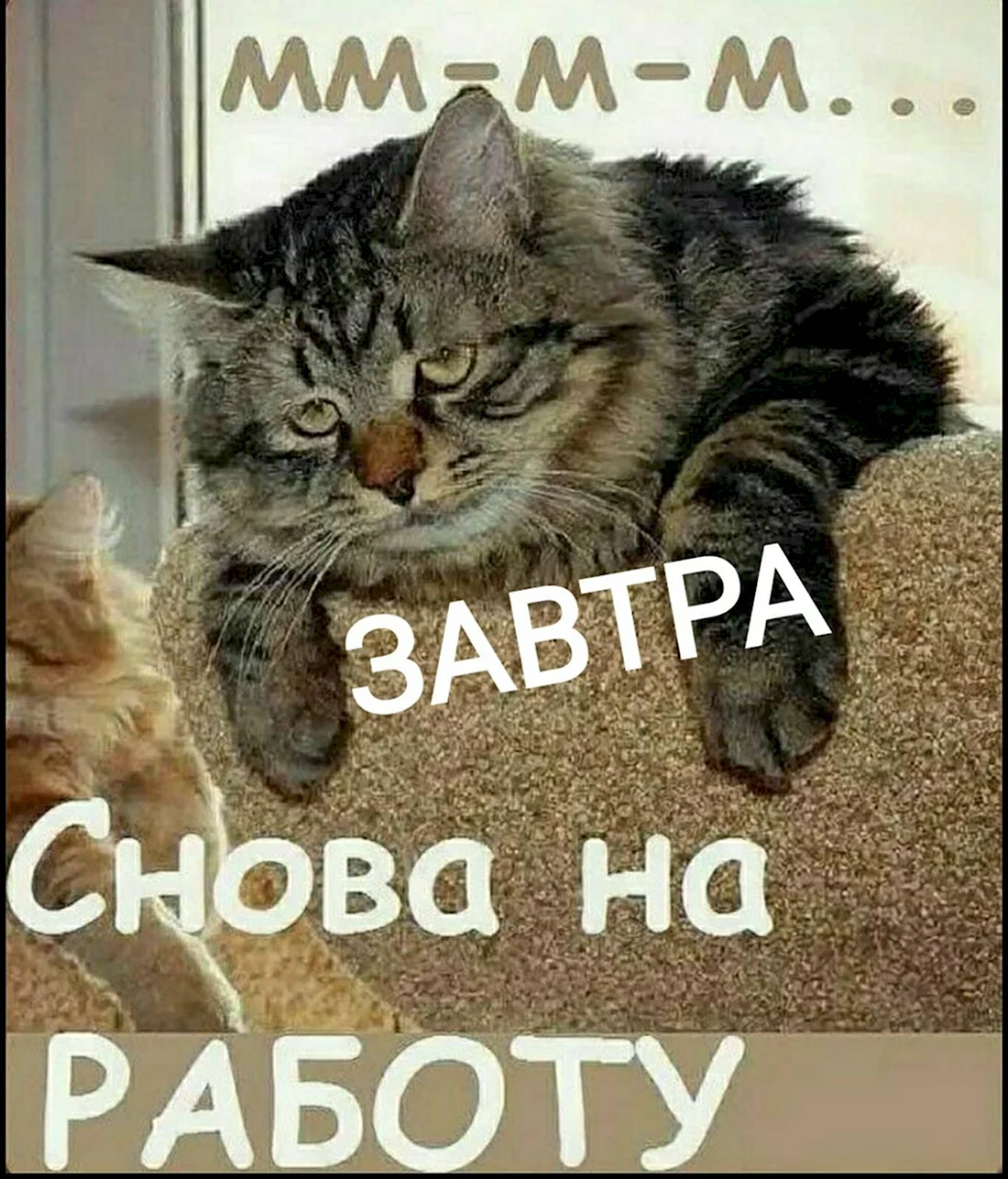 Открытки жду звонка