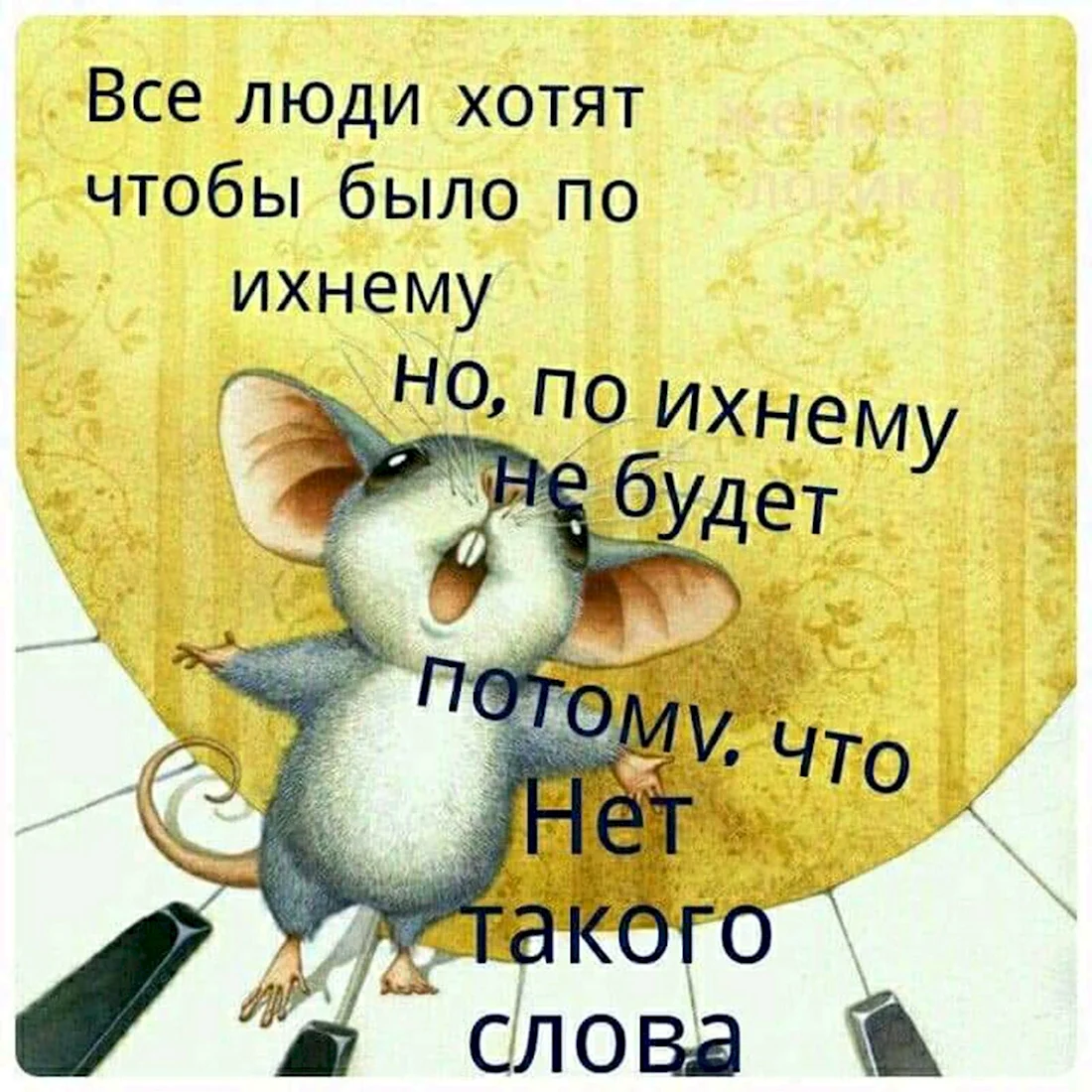 Смешные цитаты о жизни