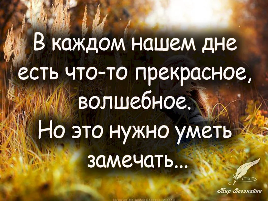 31 цитата, доказывающая, что вода — это любовь