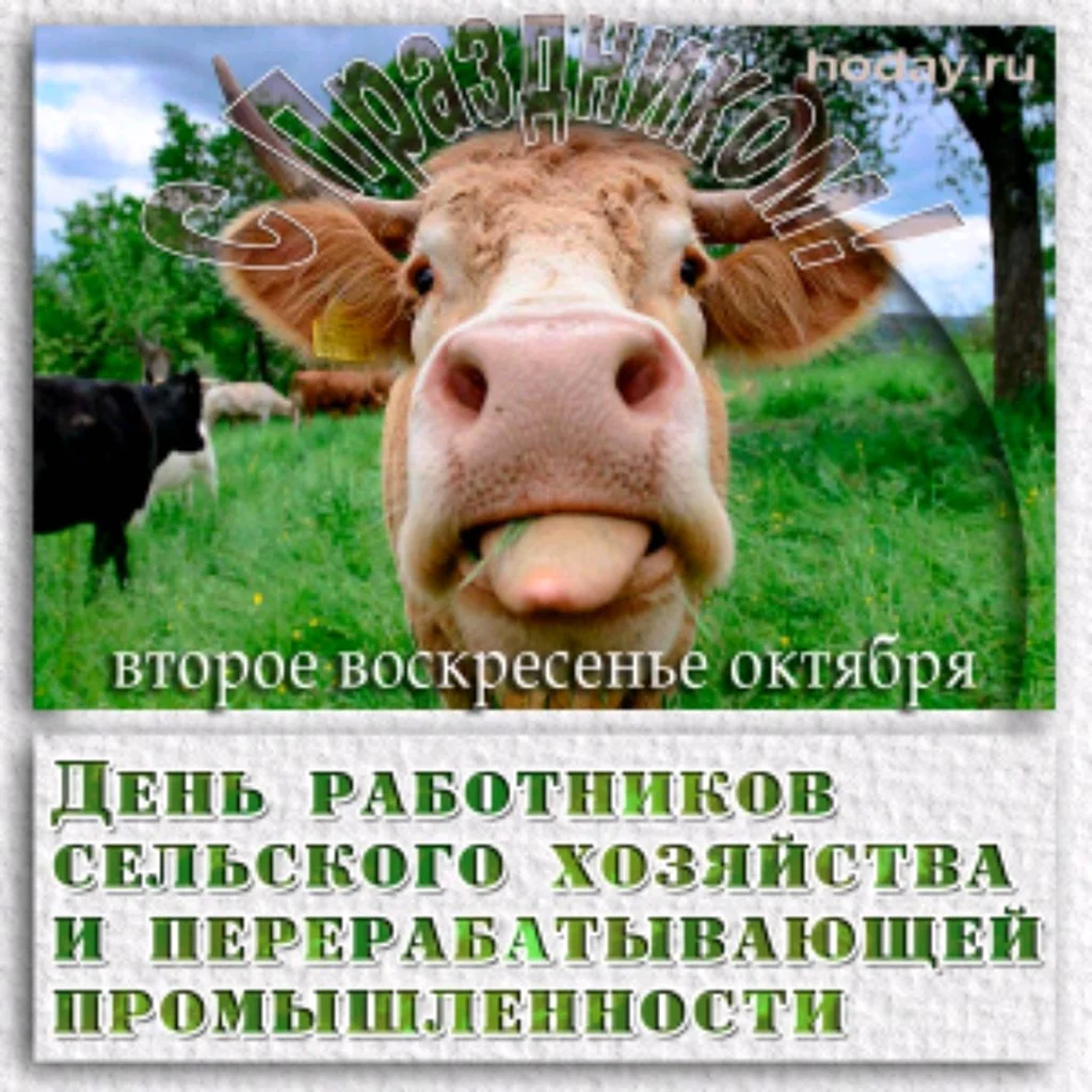 С Днем работника сельского хозяйства и перерабатывающей промышленности